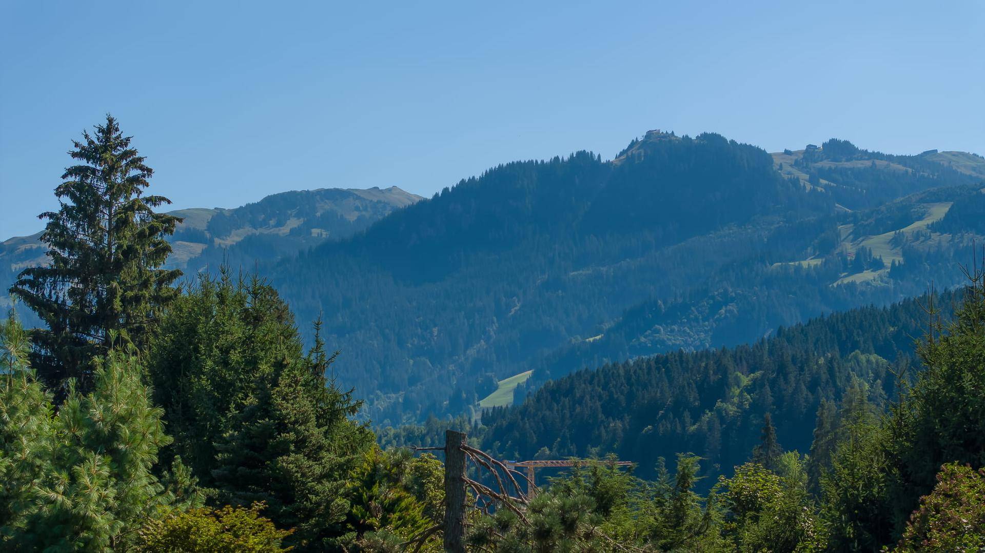 Weitläufige, bewaldete Berglandschaft mit sanften Hügeln unter einem klaren, blauen Himmel.