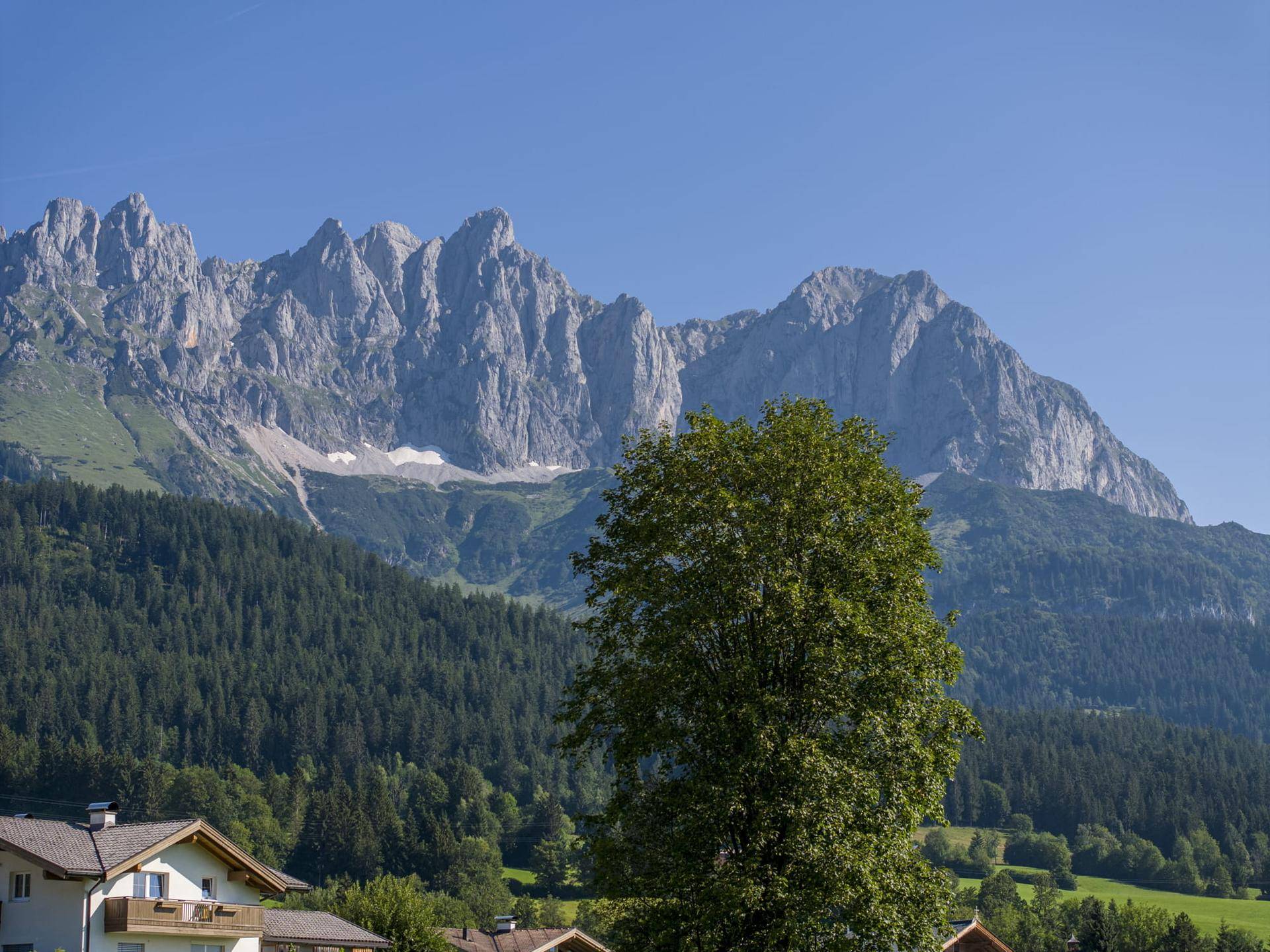 Grundstück am Fuße vom Wilden Kaiser - Ansicht 2
