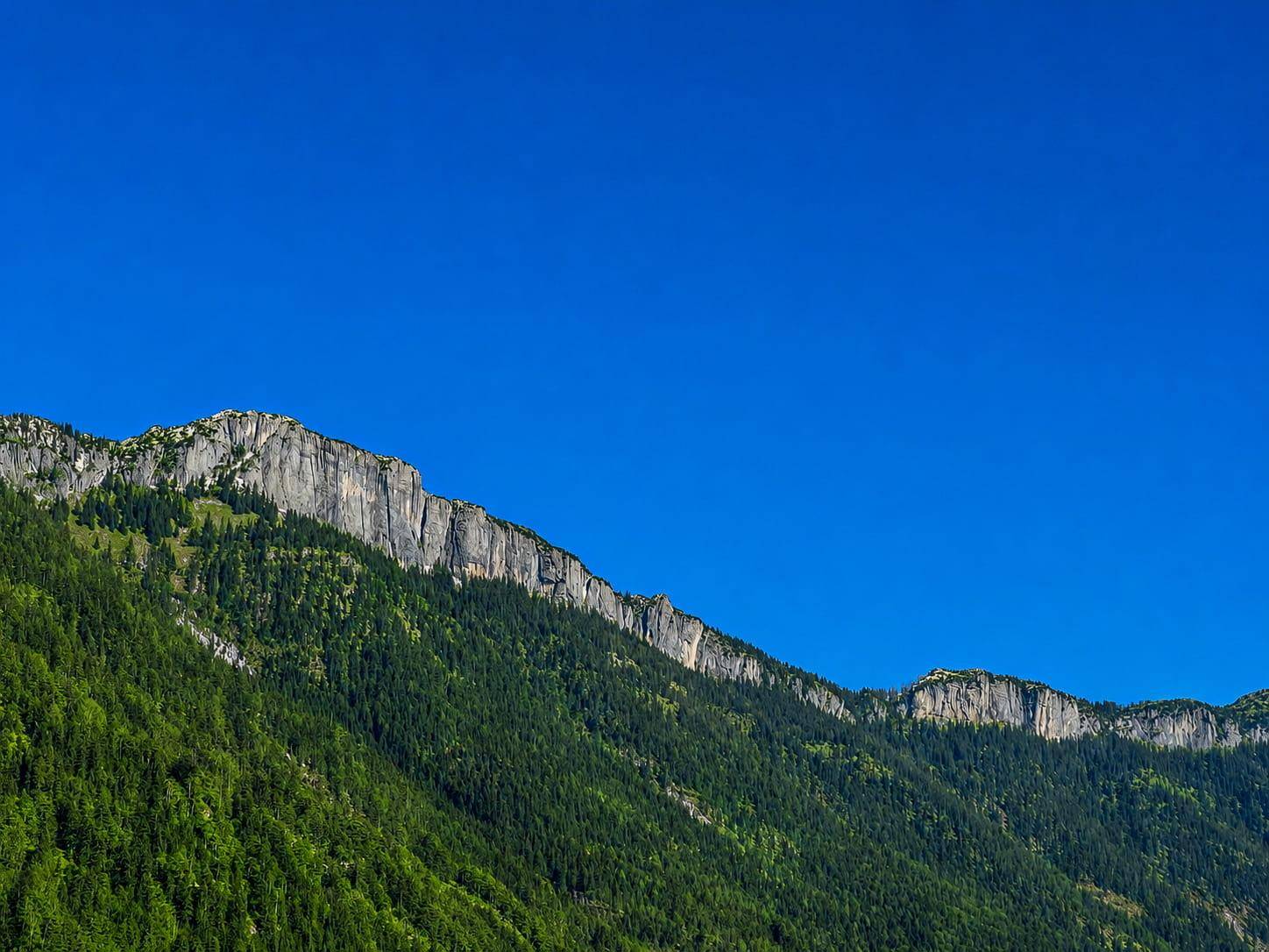 Majestätische Bergkette mit dichten grünen Wäldern und felsigen Gipfeln unter blauem Himmel.
