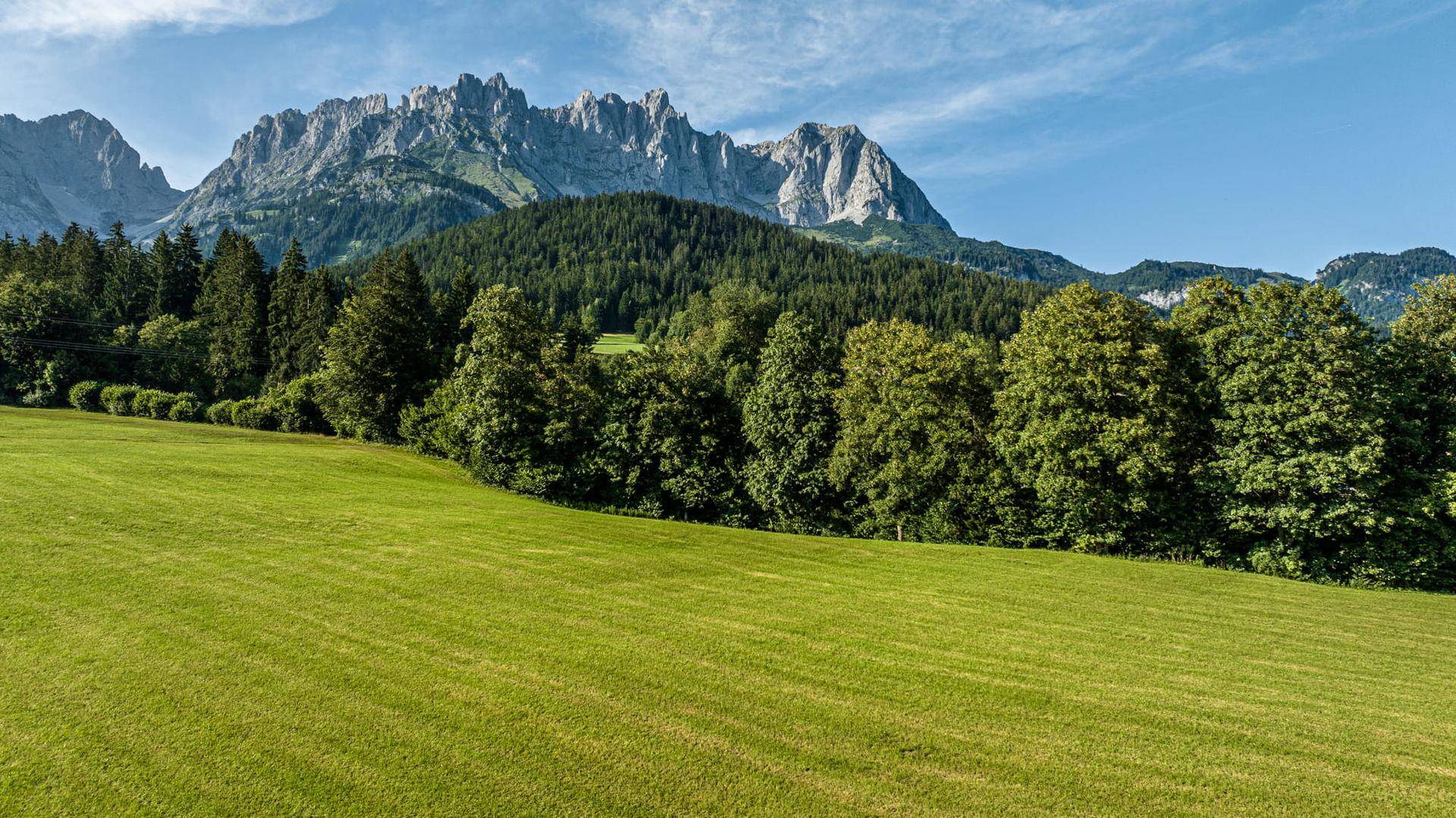 Weite grüne Wiesen mit bewaldeten Hügeln und imposanten Bergen im sonnigen Hintergrund.