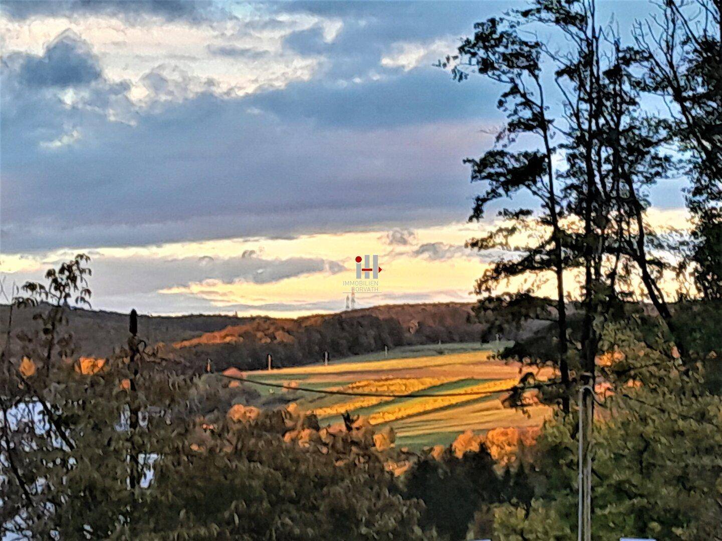 Blick auf die umliegende Landschaft bei Sonnenuntergang mit goldenen Feldern und bewaldeten Hügeln.