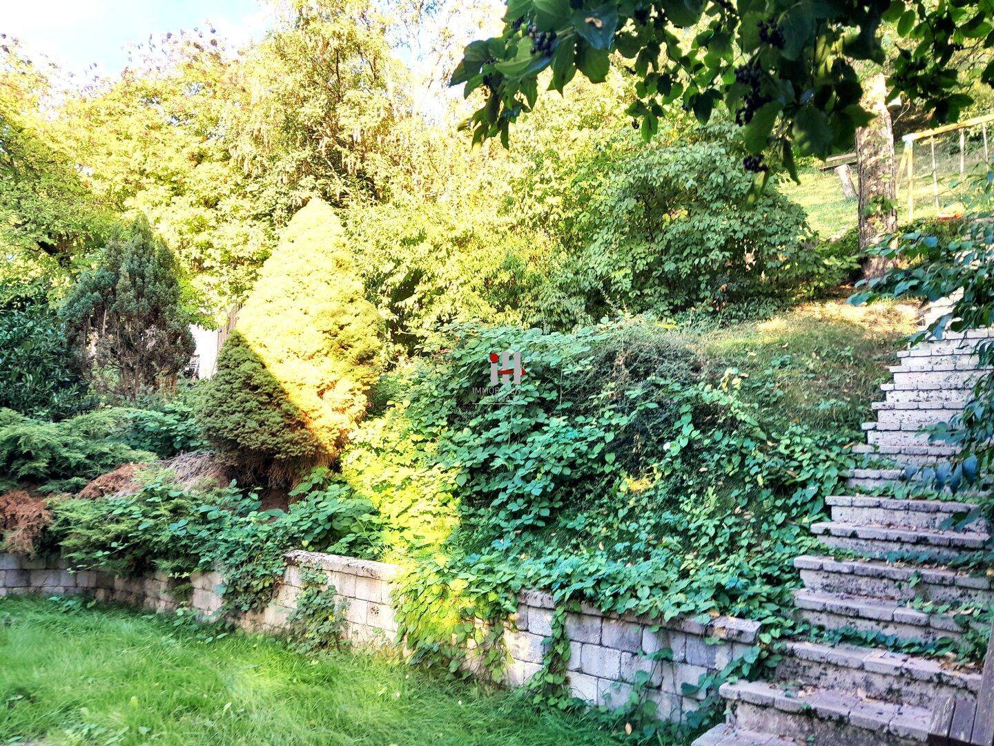 Slide 8