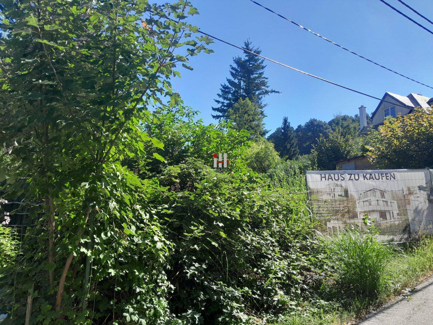 Überwuchertes Grundstück an einer Straße mit einem Schild für ein zum Verkauf stehendes Haus.
