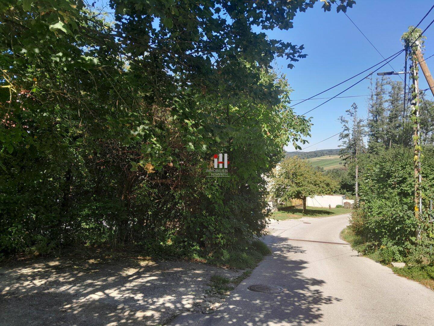 Schattige Straße umgeben von dichtem Grün mit einem weiten Blick in die Landschaft.
