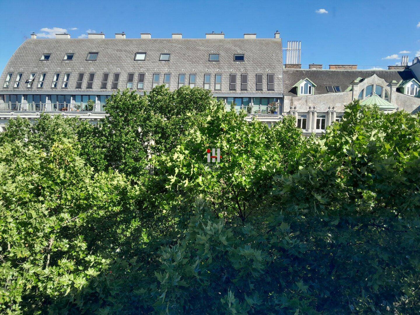 Panoramablick über die Baumwipfel auf die umliegenden Gebäude und Dächer der Stadt.