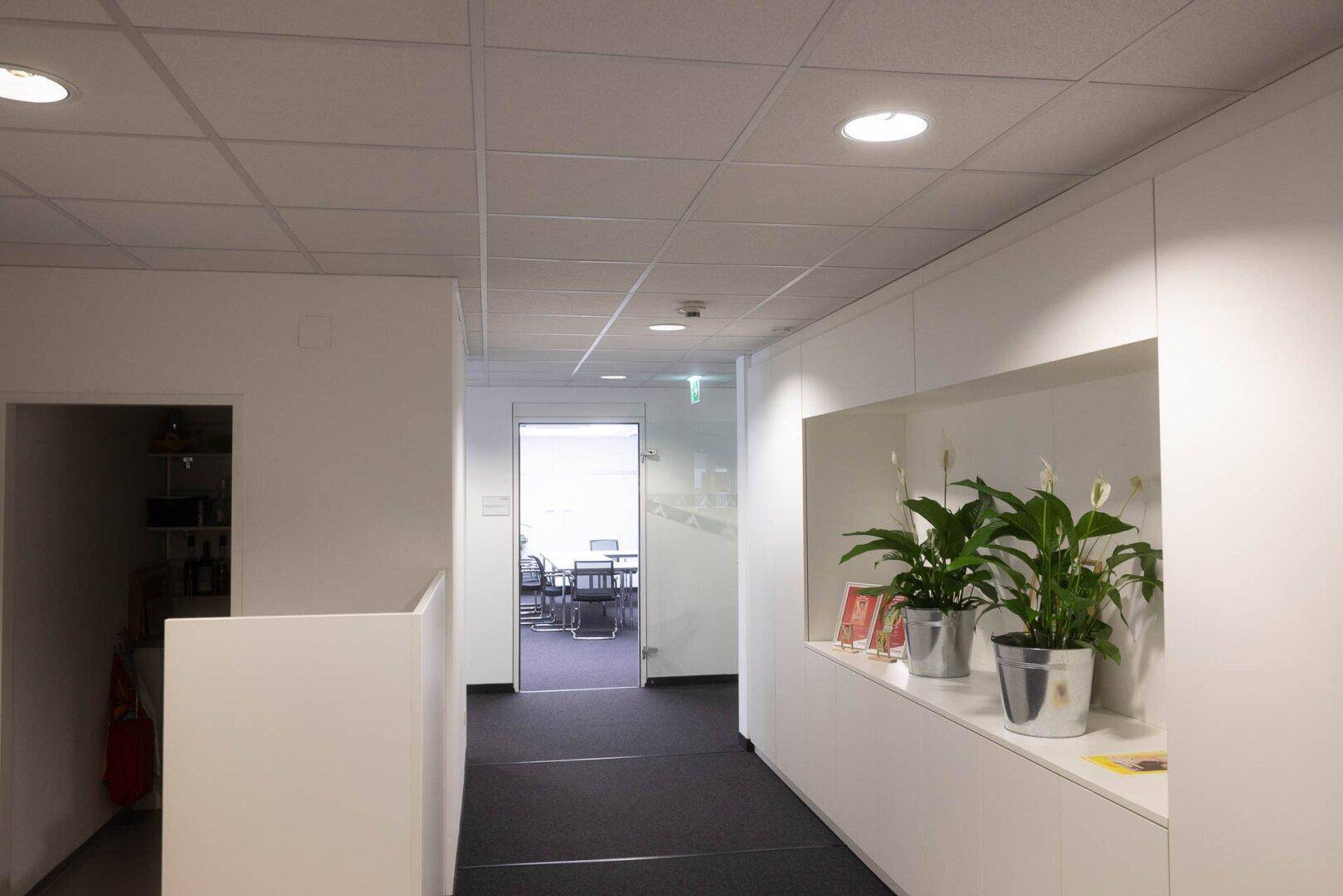 Moderner Bürogang mit weißen Wänden, dunklem Teppichboden und dekorativen Pflanzen in Regalnischen.