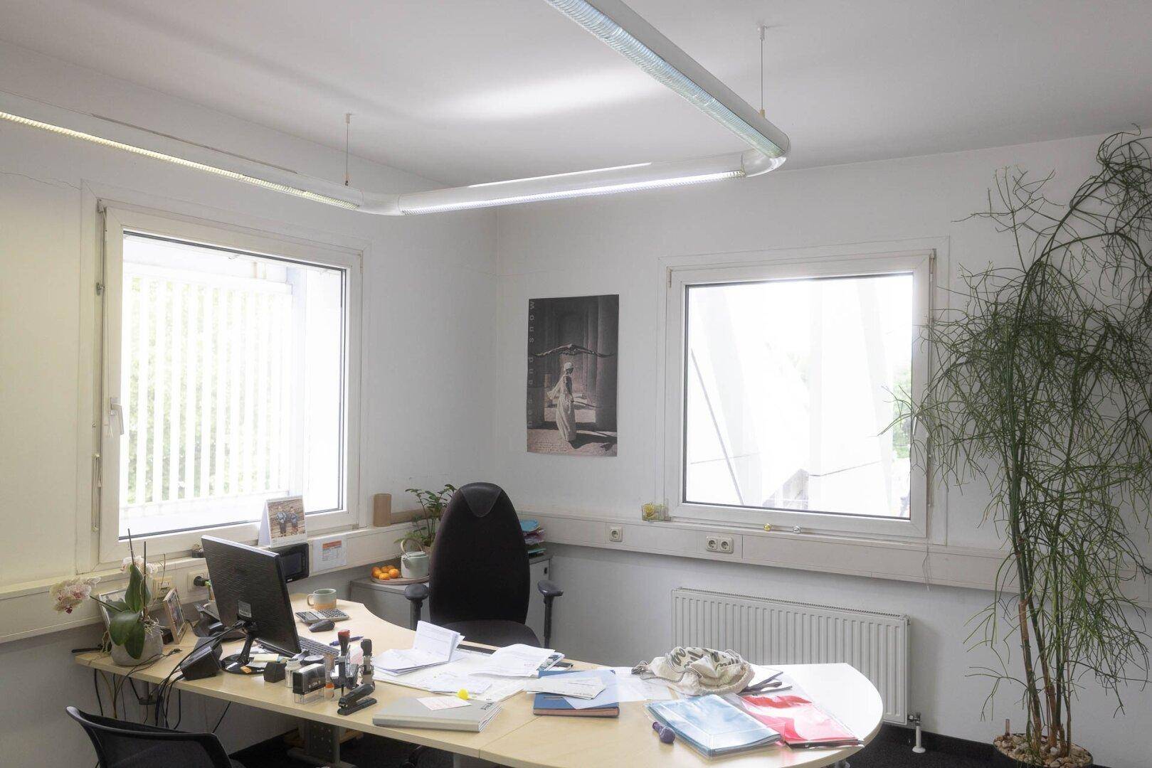 Helles Büro mit Schreibtisch, Computer und großen Fenstern, ideal für konzentriertes Arbeiten.