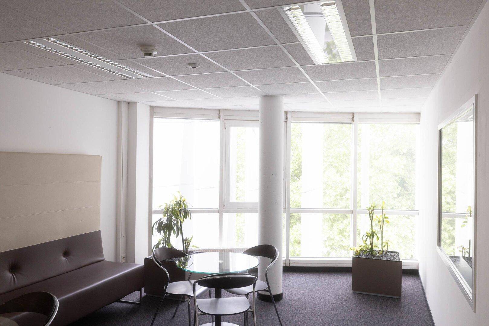 Gemütlicher Loungebereich im Büro mit Sofa, Glastisch und großen Fenstern mit Blick ins Grüne.