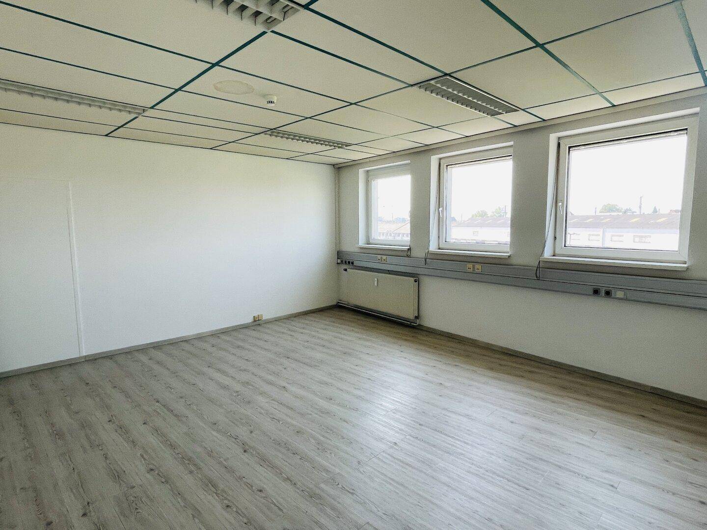 Eckansicht eines leeren Büroraums mit hellen Wänden, Laminatboden und drei großen Fenstern.