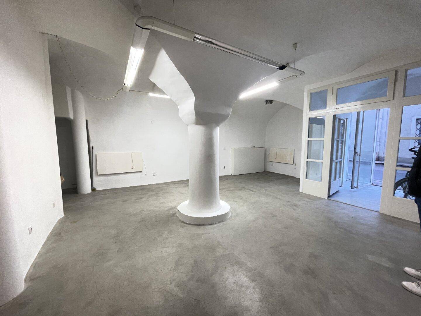 Großer, offener Raum mit gewölbter Decke, zentraler Säule und Betonboden, mit Zugang nach draußen.
