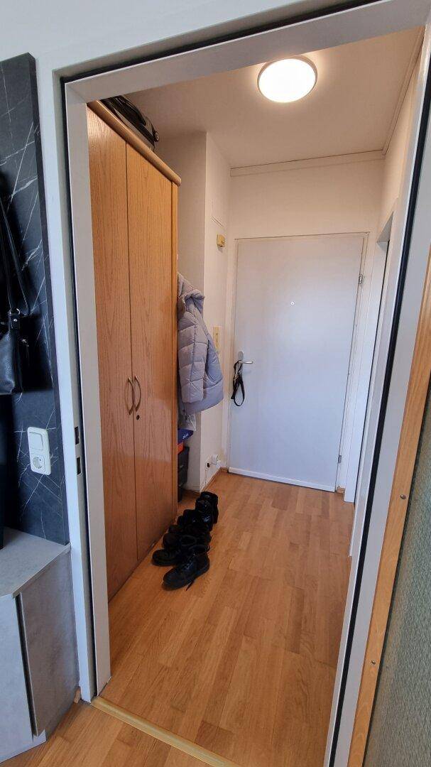 Eingangsbereich mit Holzboden, Garderobe und Zugang zu weiteren Räumen.