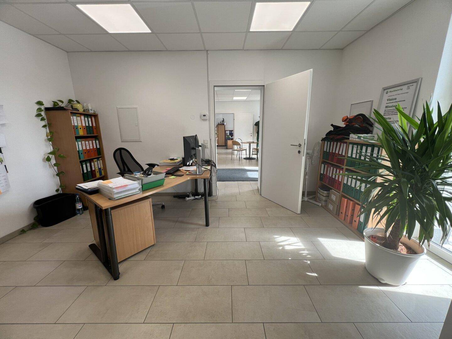 Helles Büro mit Schreibtisch, Regalen und einer großen Pflanze, die den Raum belebt und freundlich macht.