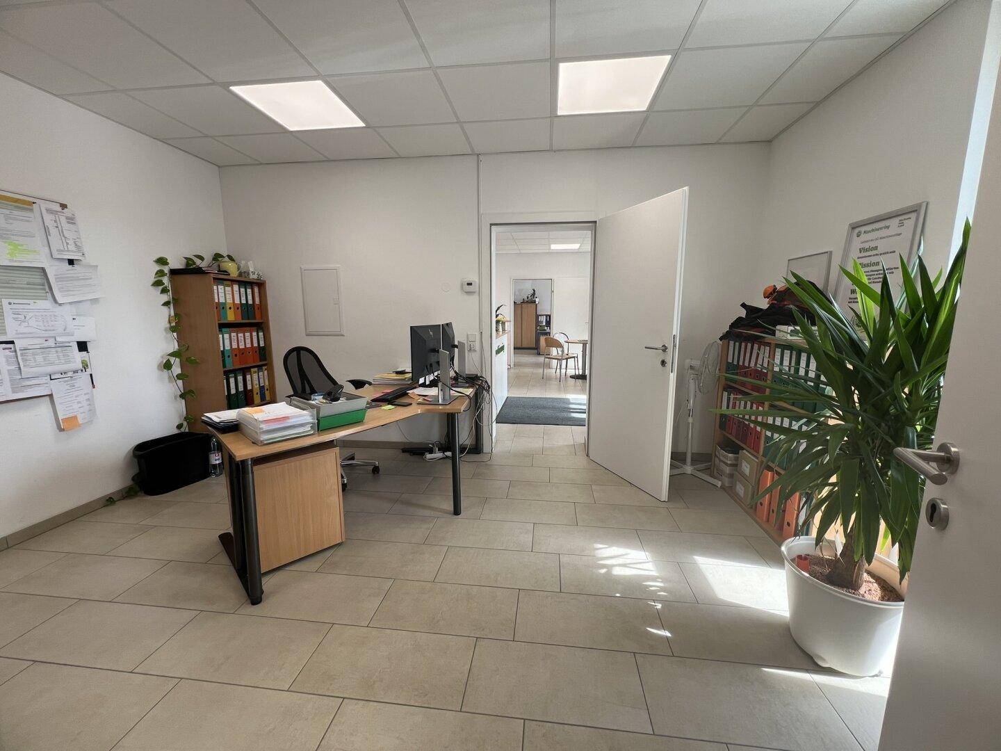 Helles Büro mit Schreibtisch, Regalen und einer großen Pflanze, die den Raum belebt und freundlich macht.