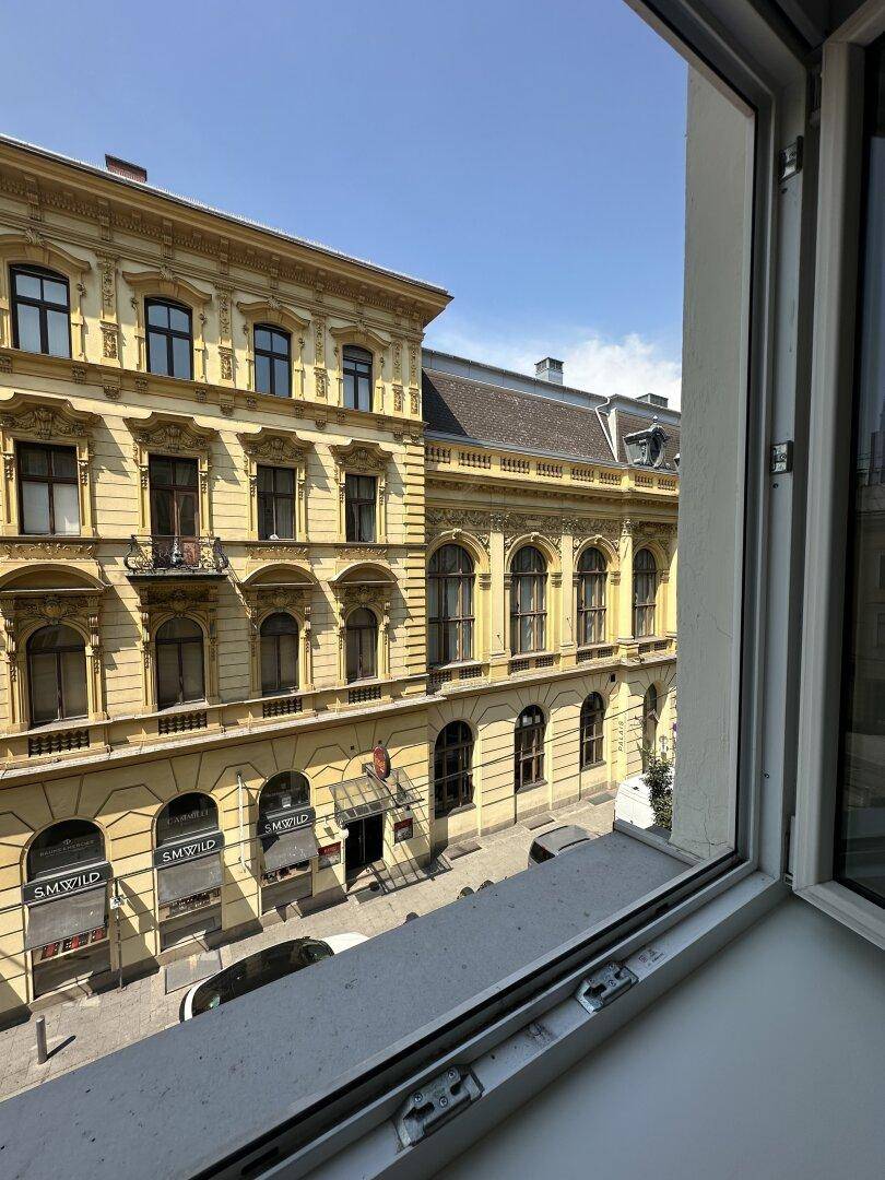Wunderschöne Altbau Wohnung im Herzen von Linz! - Mehr