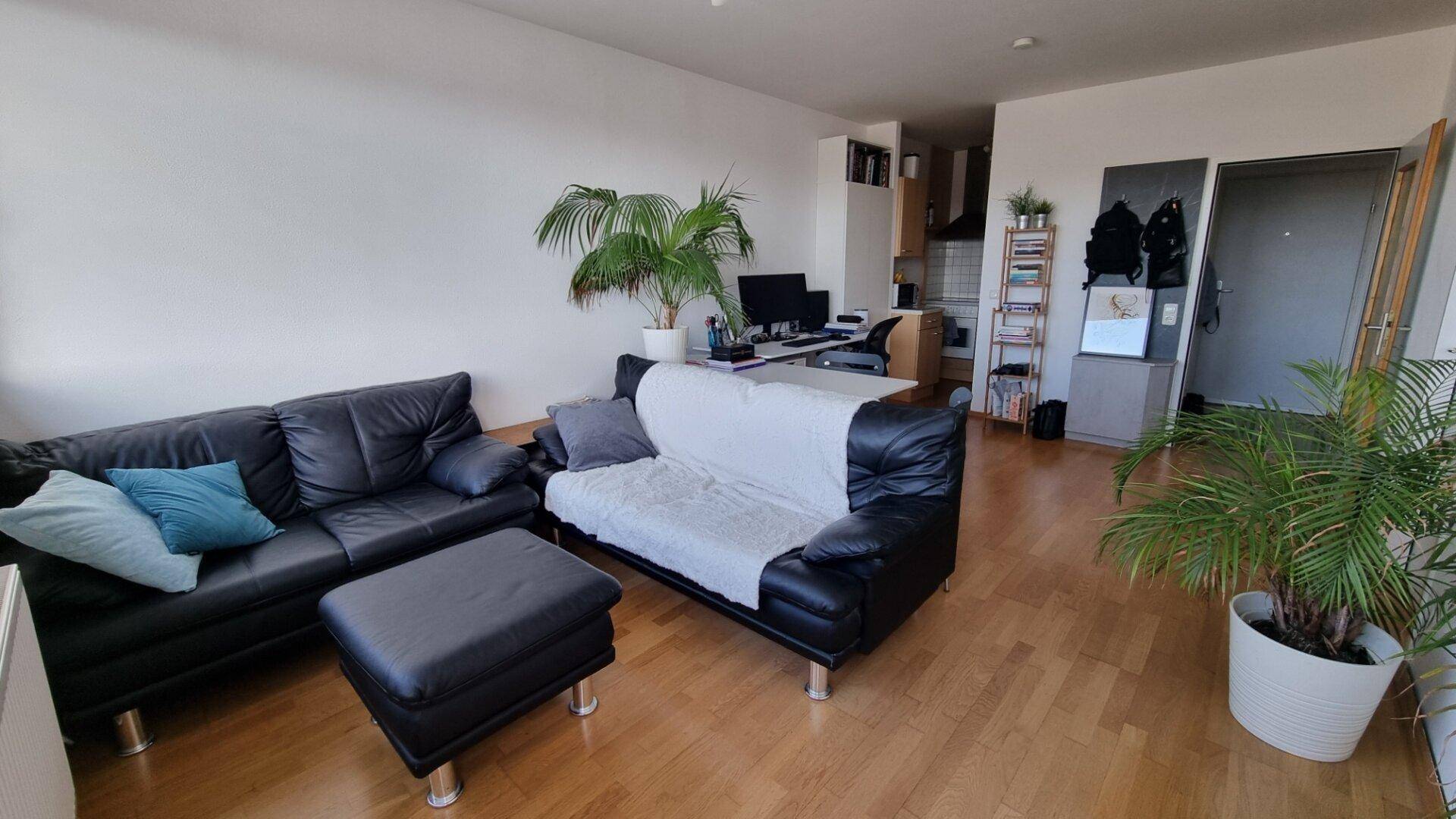 Geräumiger Wohnbereich mit zwei Sofas, Arbeitsplatz und Blick in den Küchenbereich.