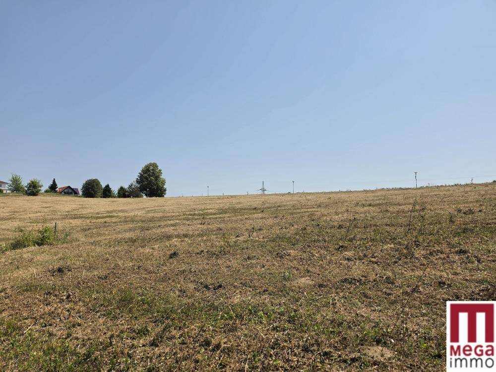 Ausgedehntes Feld mit Blick auf entfernte Häuser und Stromleitungen unter blauem Himmel.
