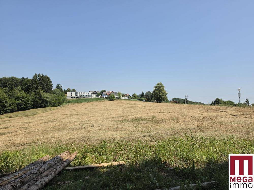 Panoramablick über ein Feld mit Holzstämmen im Vordergrund und Häusern am Horizont.