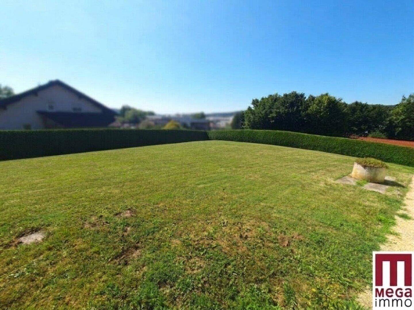 Großer, gepflegter Rasenbereich mit hoher Hecke und Blick auf ein Wohnhaus im Hintergrund.