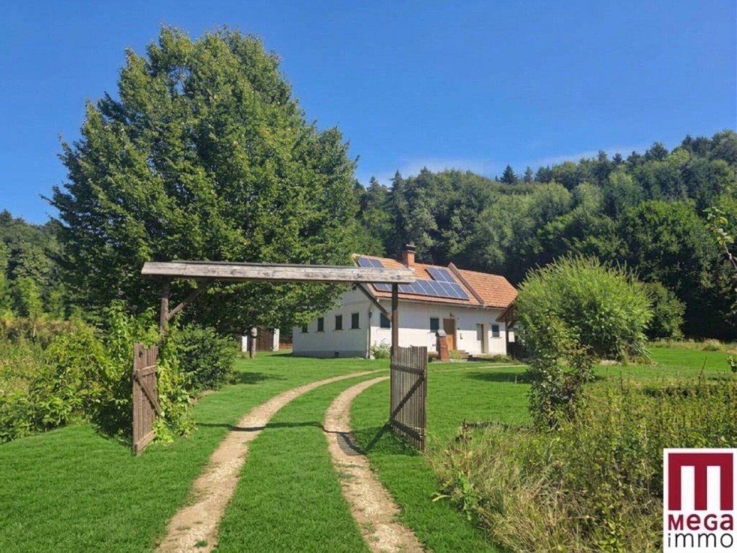 Lange Auffahrt zum Haus, umgeben von grünen Wiesen und Bäumen, mit einem Holztor.