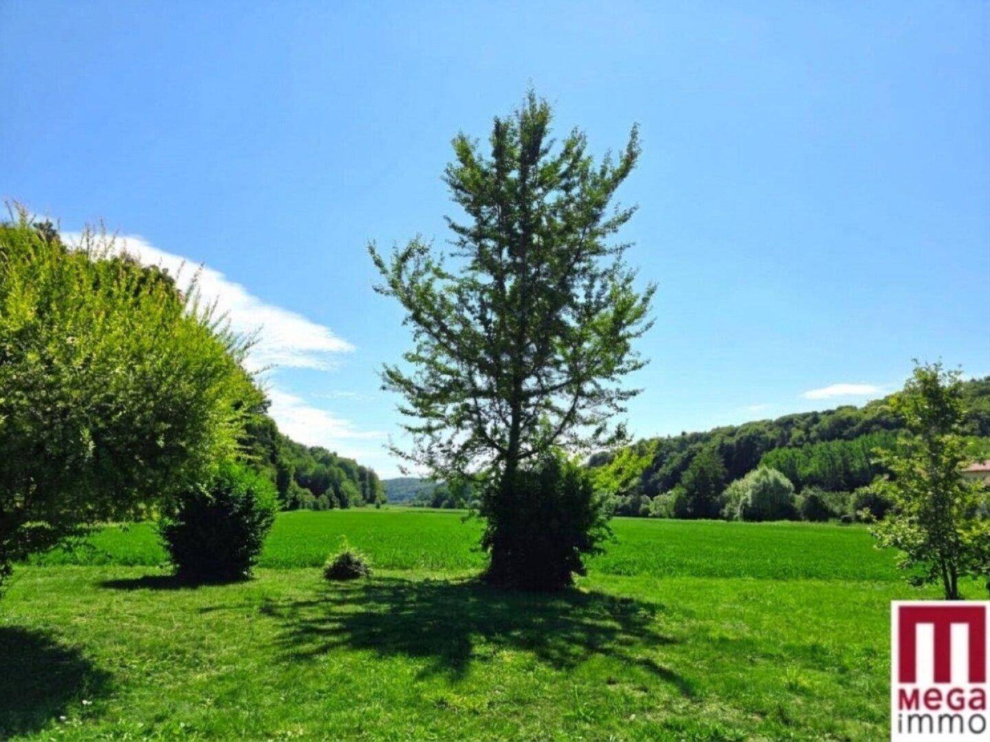 Weitläufige grüne Landschaft mit einem markanten Baum im Vordergrund und bewaldeten Hügeln im Hintergrund.