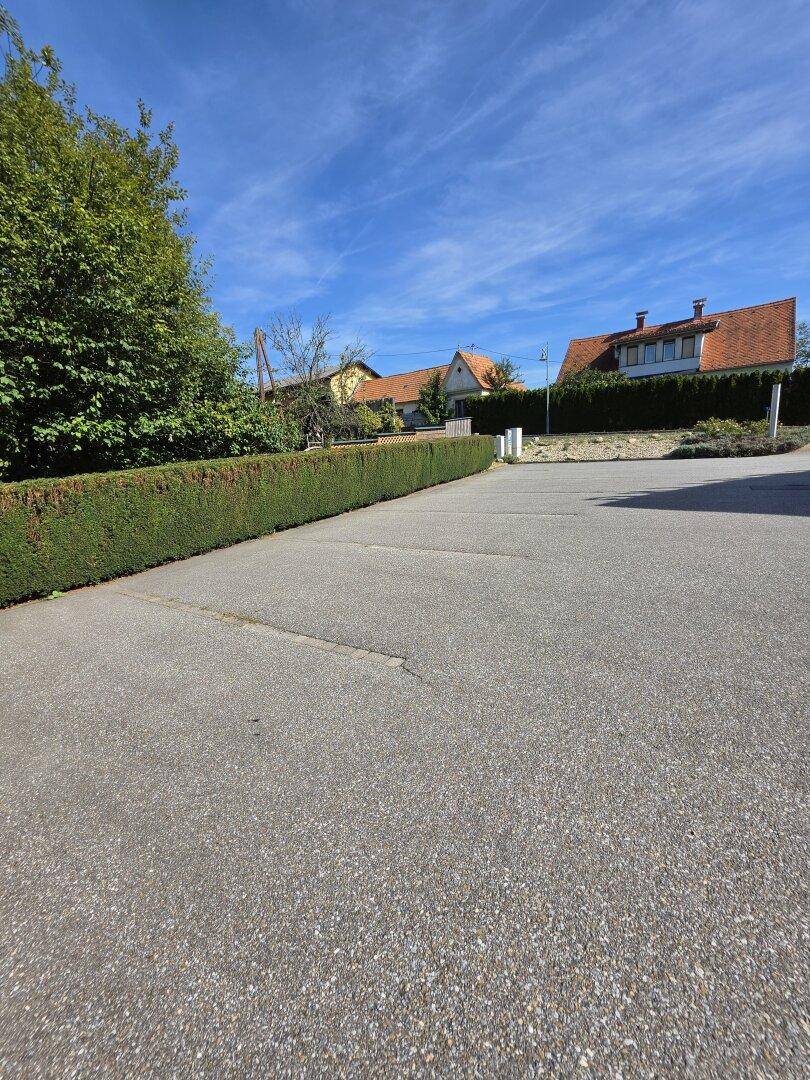 Asphaltierte Zufahrt oder Straße mit einer langen Hecke und Wohnhäusern im Hintergrund.