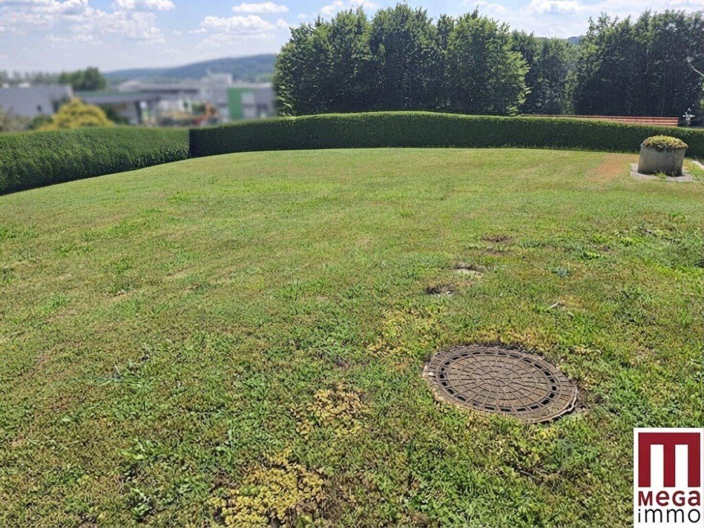 Gepflegte Rasenfläche mit Heckenbegrenzung und einem Kanaldeckel im Vordergrund.