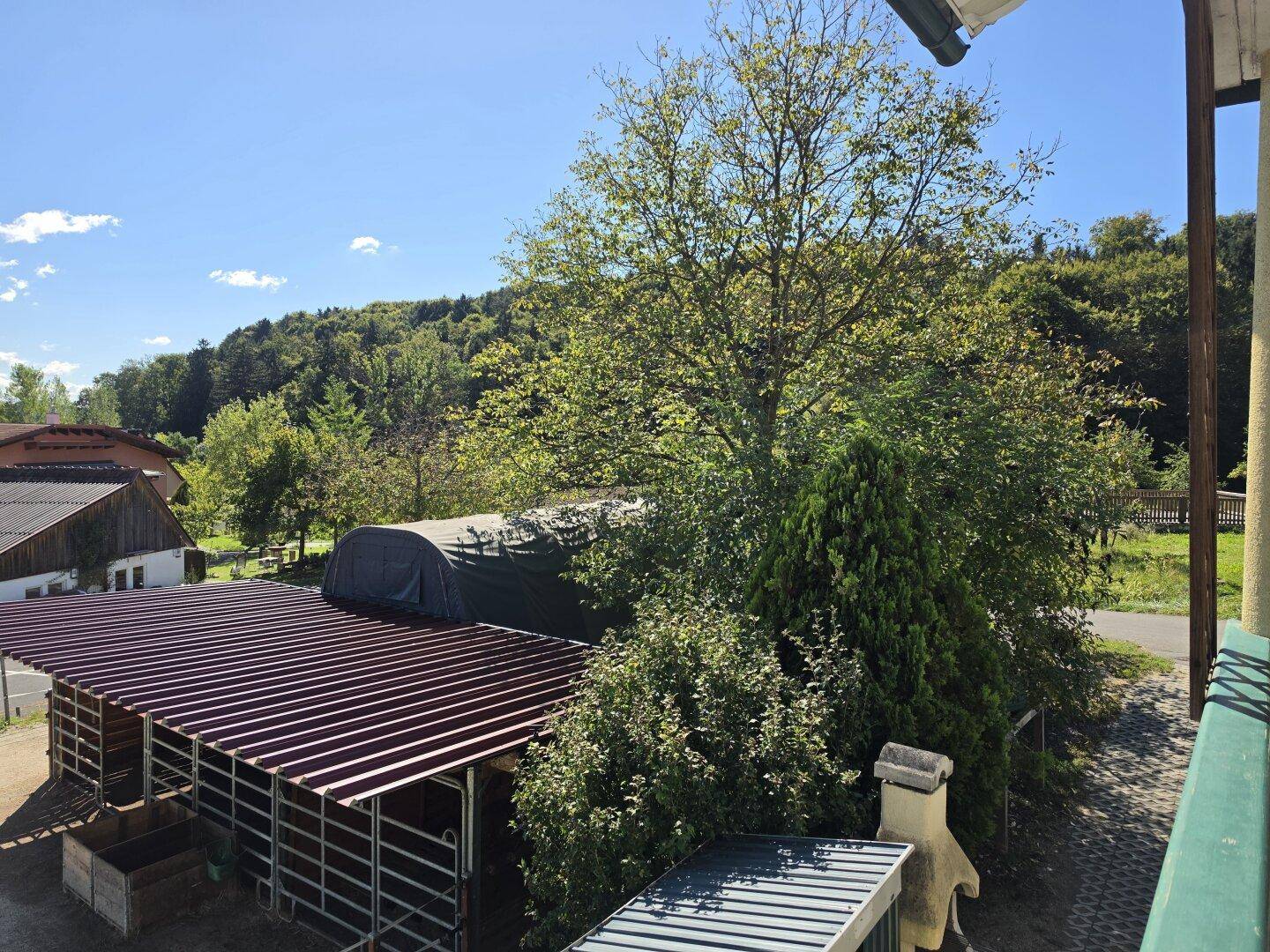 Weitläufiger Blick von oben auf Bäume, Gebäude und die ländliche Umgebung.