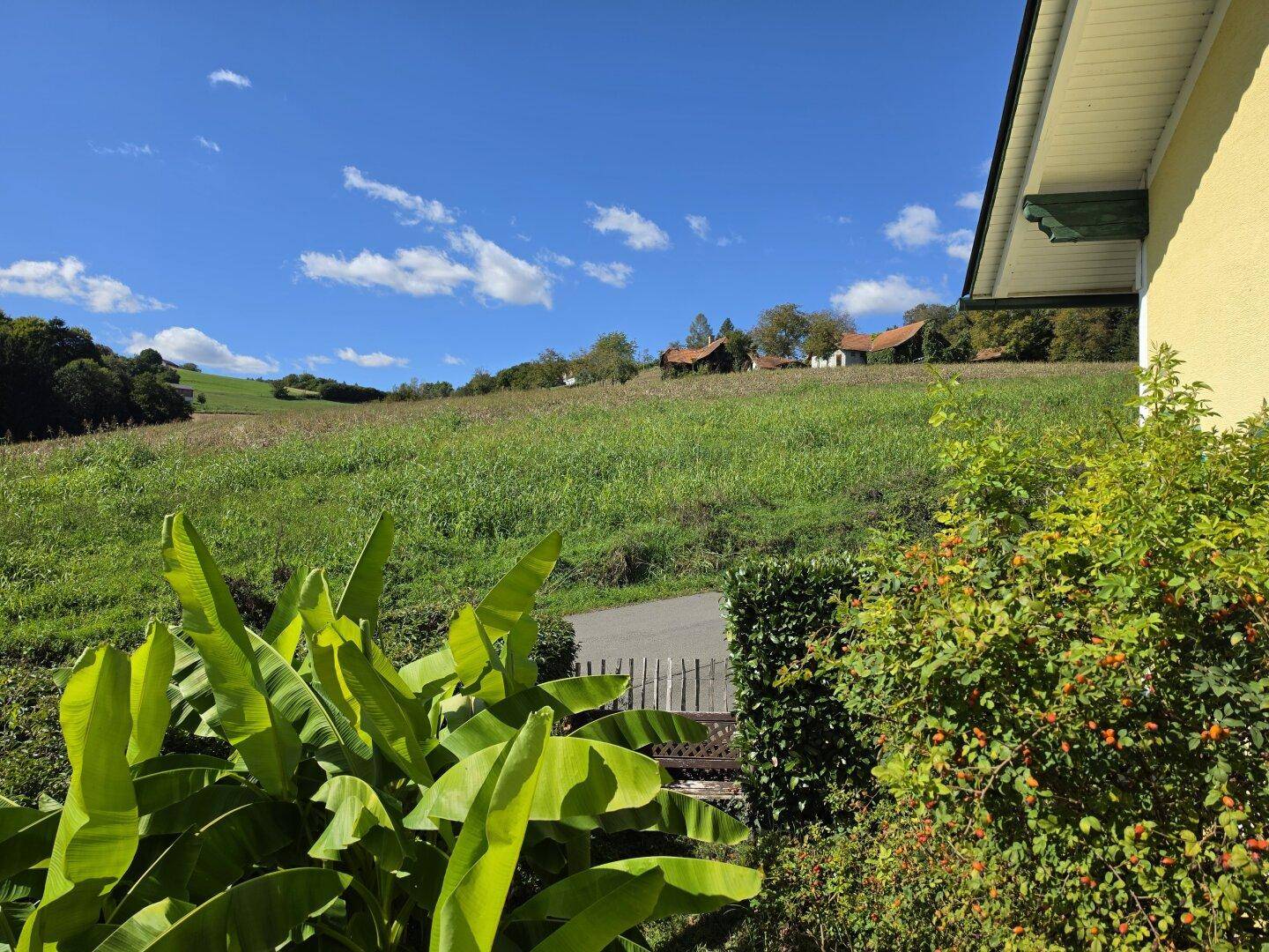 Weitläufiger Blick auf grüne Hügel und die ländliche Umgebung unter blauem Himmel.