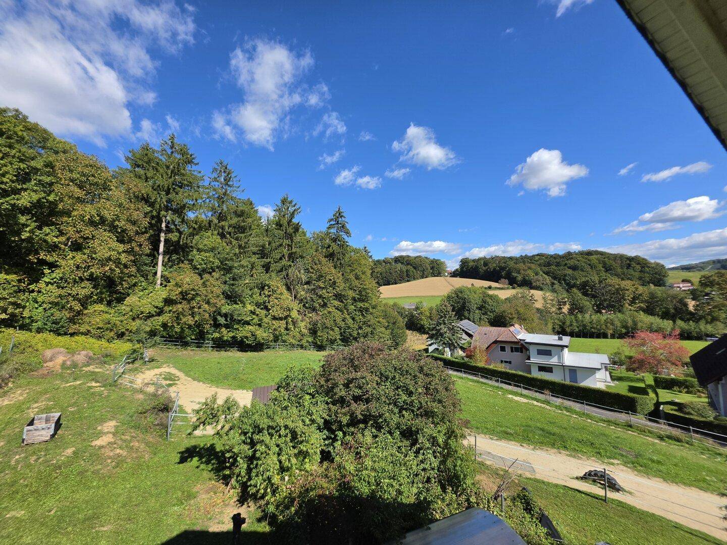 Panoramablick auf die grüne Landschaft mit Wäldern und vereinzelten Häusern.