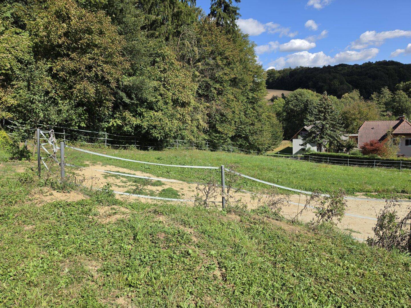 Weitläufige grüne Landschaft mit Feldern, Zäunen und Häusern in der Ferne.