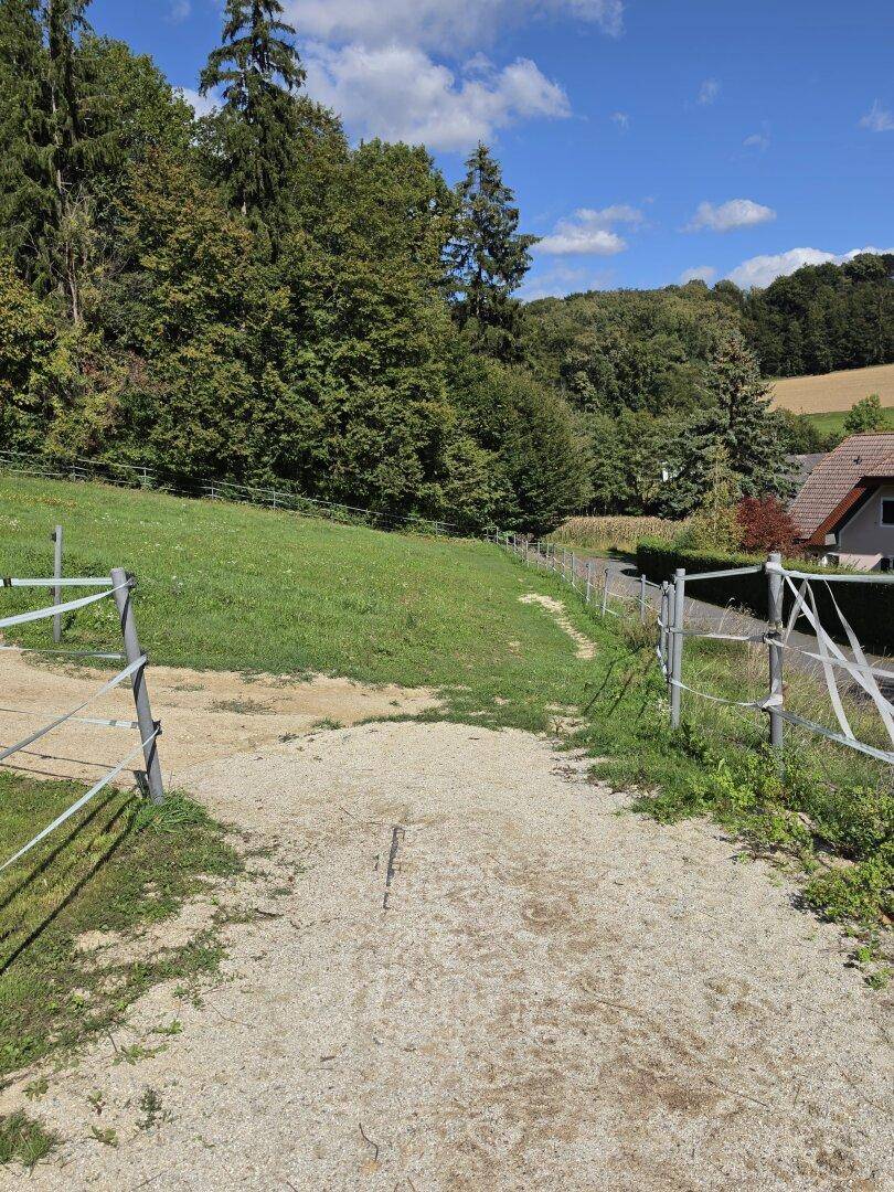Schotterweg, der sich durch eine grüne, hügelige Landschaft mit Zäunen schlängelt.