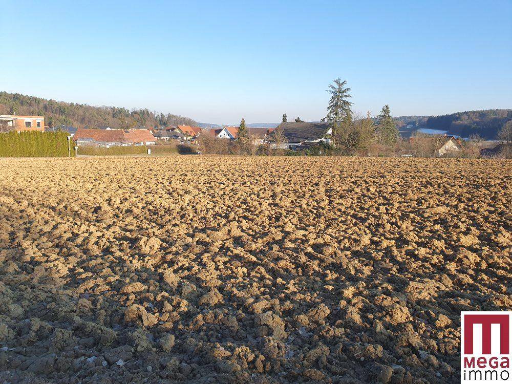 Gepflügtes Feld mit Blick auf eine Siedlung und bewaldete Landschaft im Hintergrund bei Sonnenschein.