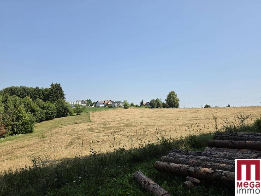 Hügelige Landschaft mit weitem Feld, Holzstämmen im Vordergrund und Häusern in der Ferne.