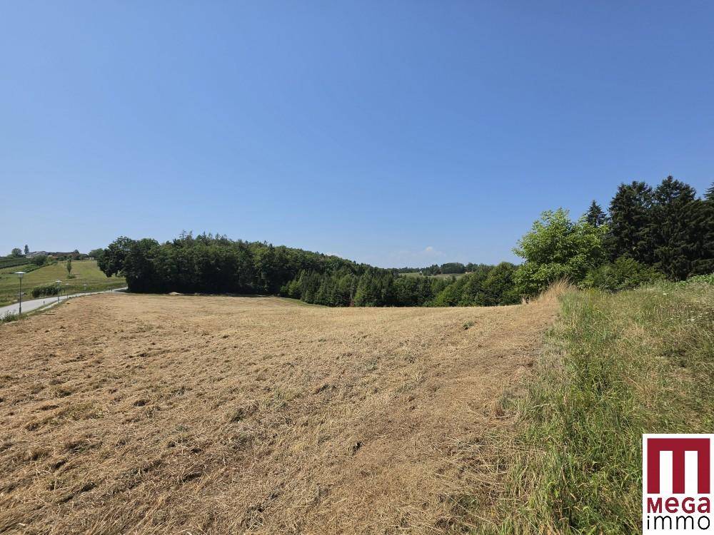 Offenes Feld mit Waldrand und einigen Häusern in der Ferne unter strahlendem Himmel.