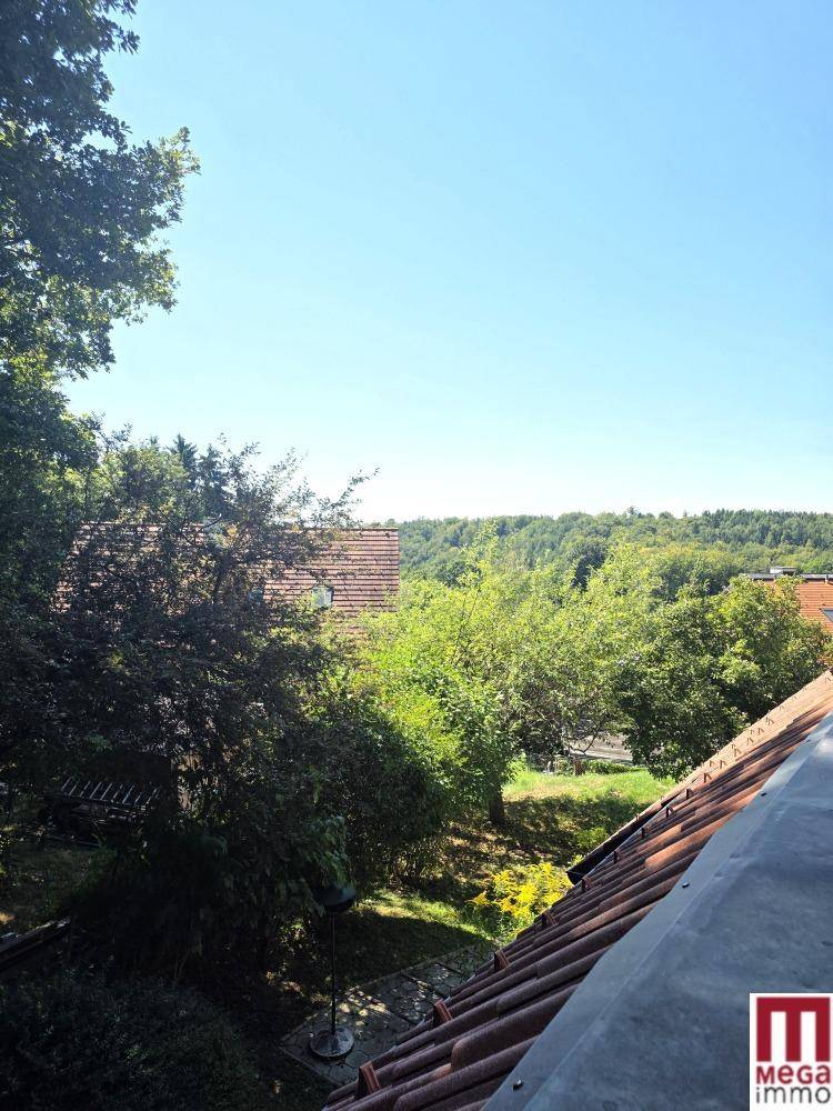 Aussicht Ost-Balkon