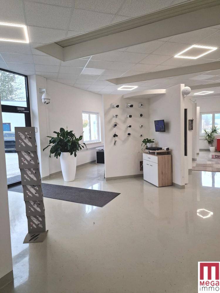 Heller Eingangsbereich mit großen Fenstern, modernen Leuchten und Informationsständer in einem offenen Raum.