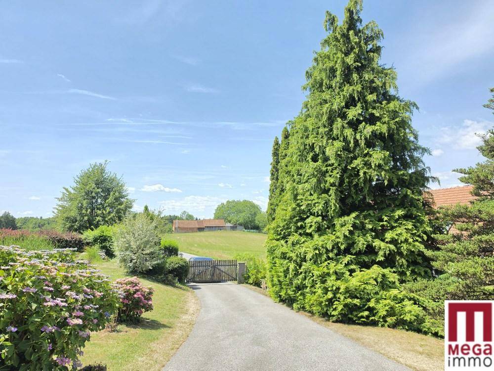 Weitläufige Zufahrt zum Anwesen mit Blick auf die umliegende Natur.
