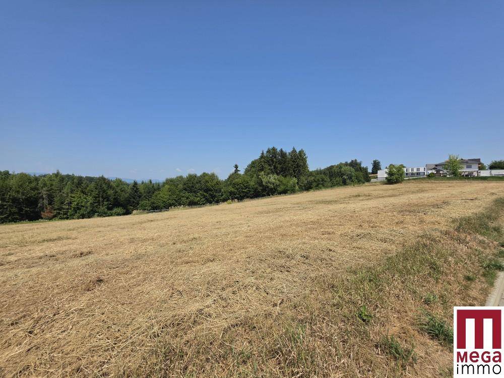 Weitläufiges Feld mit Blick auf eine Siedlung und bewaldete Hügel in der Ferne.