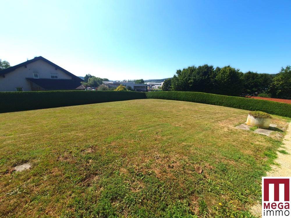 Weitläufiger Rasenbereich mit hoher Hecke und Blick in die Ferne.