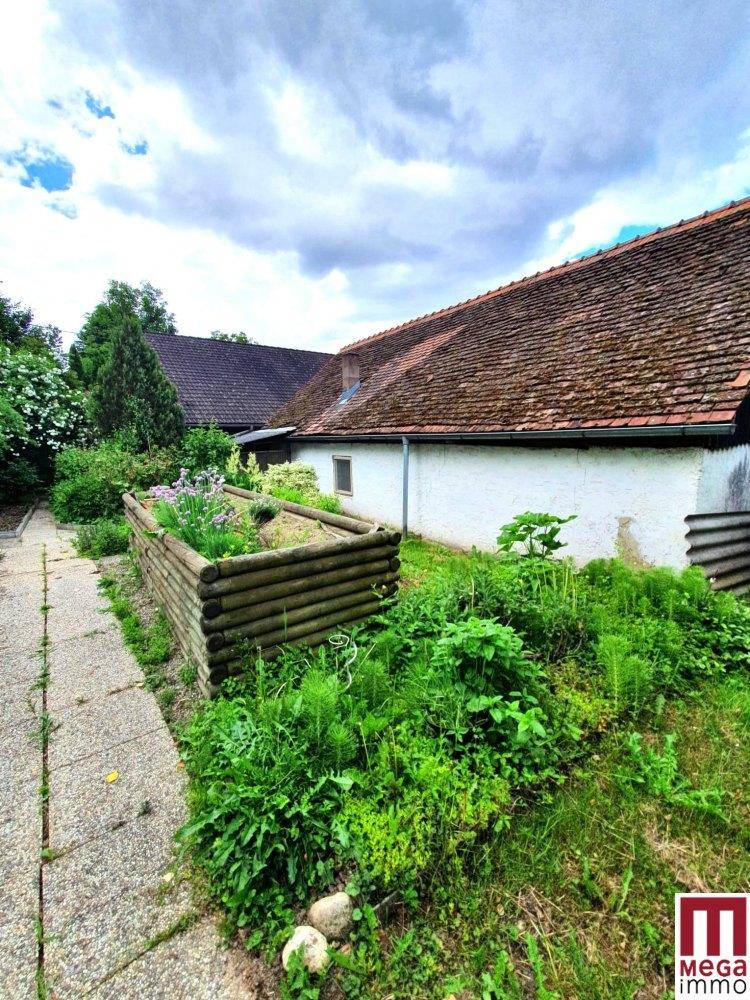 Garten (3)