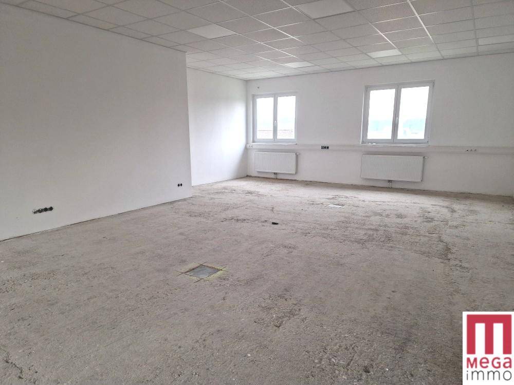 Leerer Raum mit unfertigem Betonboden, weißen Wänden und Fenstern, bereit für den Ausbau.