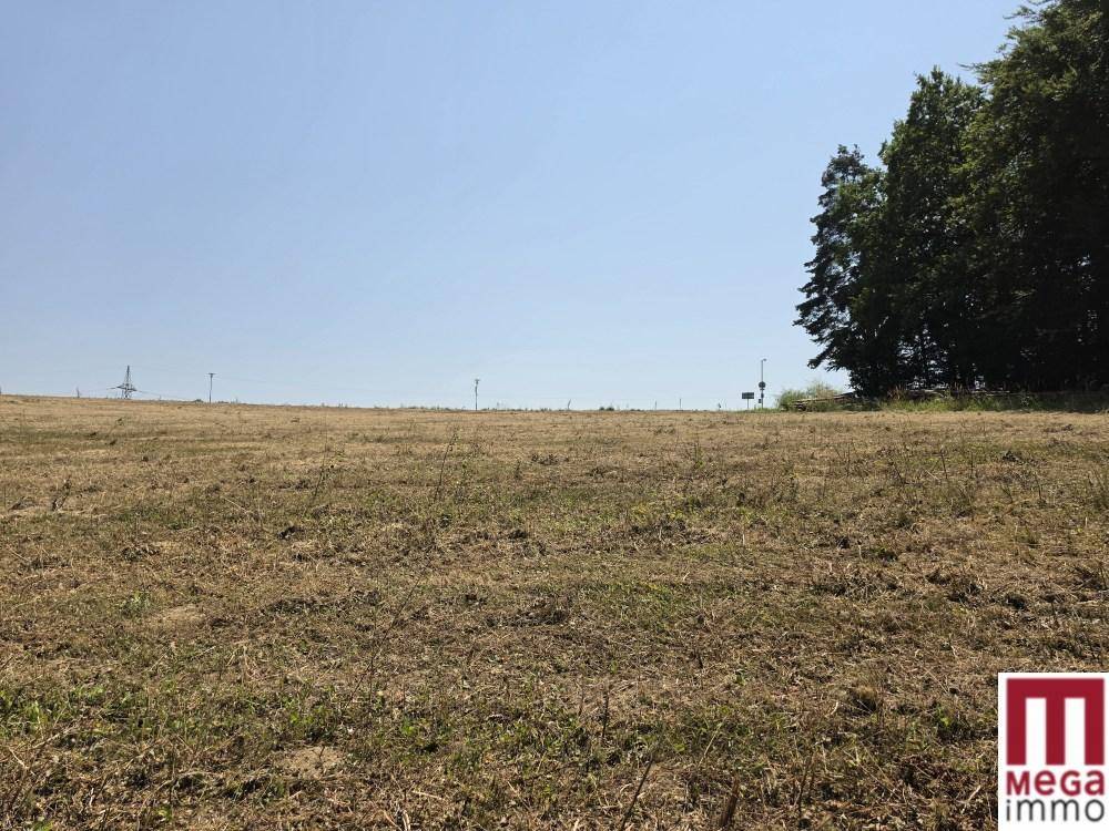 Weites, offenes Feld unter klarem Himmel mit einigen Strommasten in der Ferne.