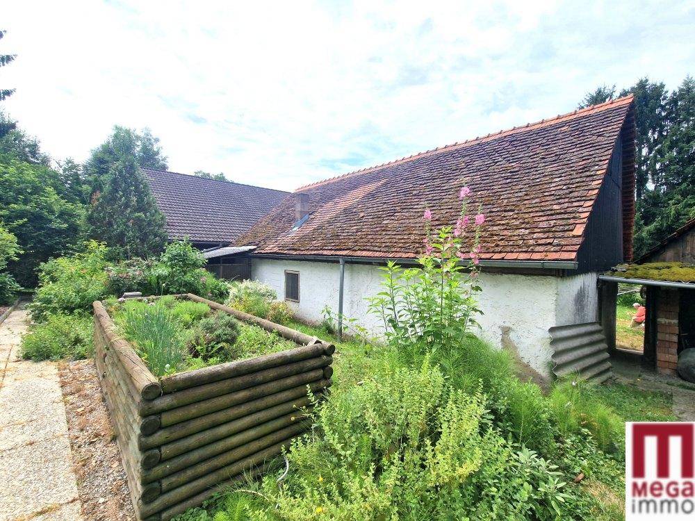 Garten (3)