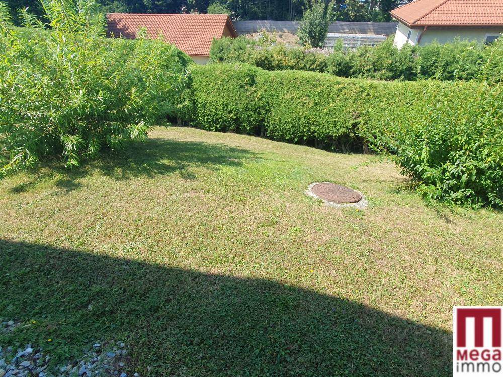 Gepflegter Gartenbereich mit Rasen, Hecken und Sträuchern unter blauem Himmel.