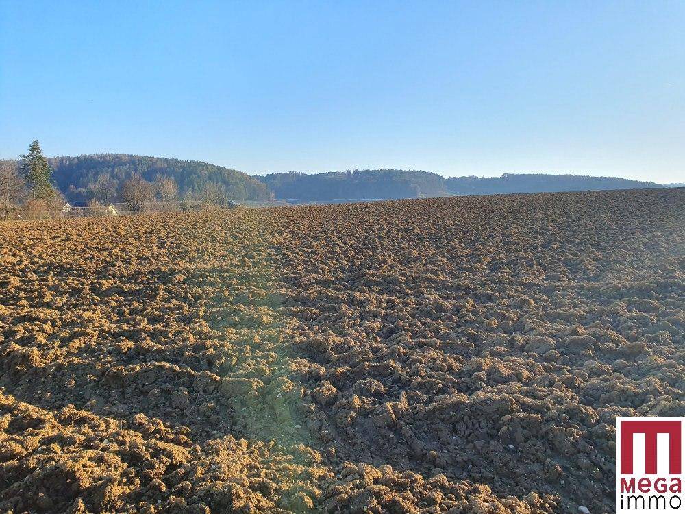 Ausgedehntes Ackerland mit frischer Pflugarbeit, umgeben von bewaldeten Hügeln unter klarem Himmel.