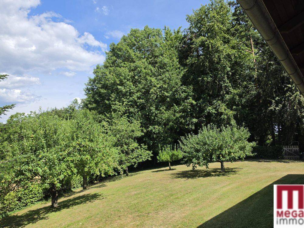 Großer, gepflegter Gartenbereich mit Rasenfläche und verschiedenen Obstbäumen unter blauem Himmel.