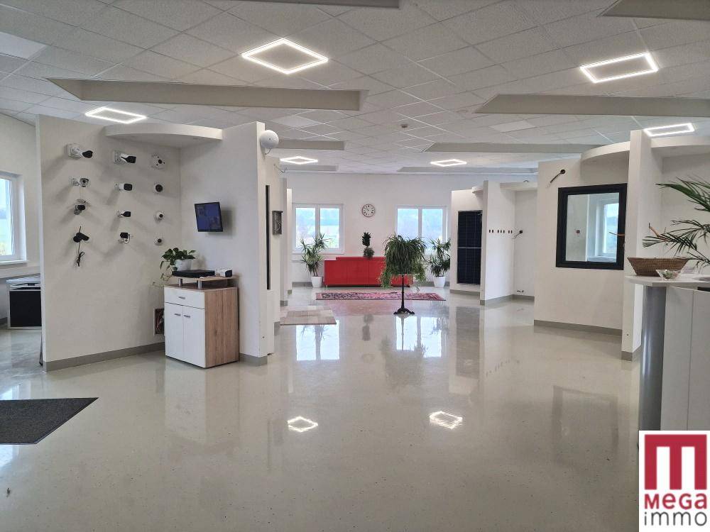 Großer, heller Empfangsbereich oder offener Büroraum mit modernen Deckenleuchten und Pflanzen.