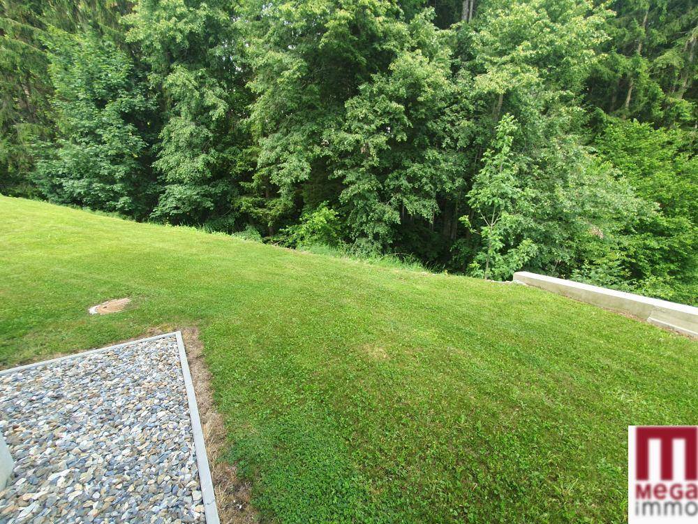 Grüner Rasenbereich mit angrenzendem Wald, ideal für Erholung im Freien.
