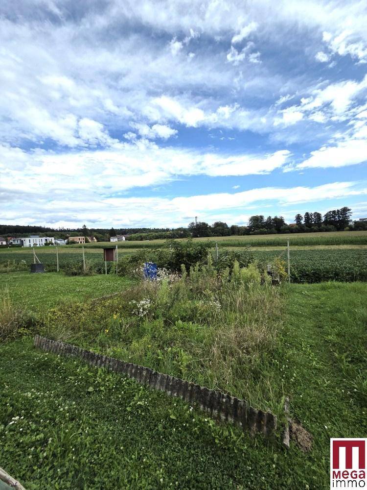 Gartenparzelle
