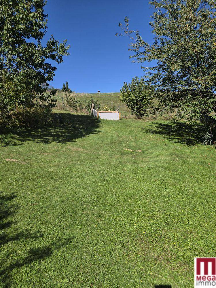 Garten (2)